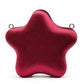Star Shape Evening Clutch