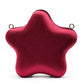 Golden Star Shape Evening Clutch