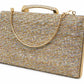 Crystal Box Clutch with Chain Handle